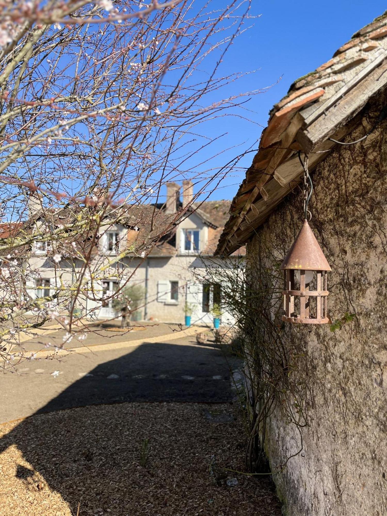 Nuits De Loire -Entre Blois Et Chambord Bed & Breakfast Vineuil  ห้อง รูปภาพ